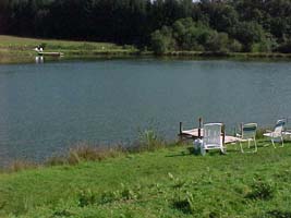 private lake fishing swimming