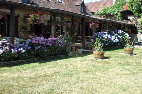 terrace in bloom
