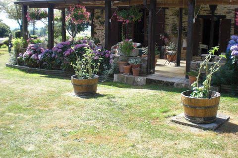 b&B flowers